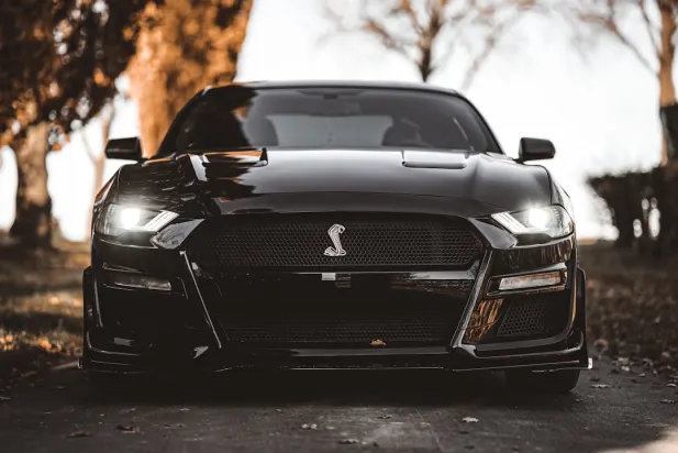 Lapilanders Kaszinó Android/iOS Alkalmazás